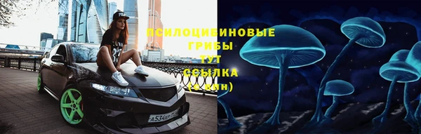 гидра Абаза