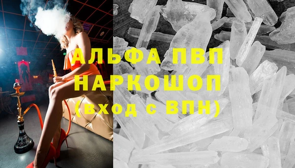 гидра Абаза