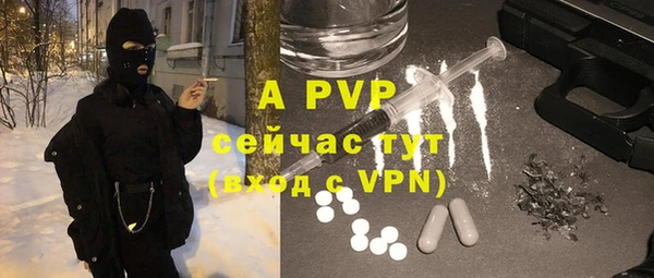 гидра Абаза