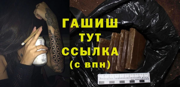 гидра Абаза