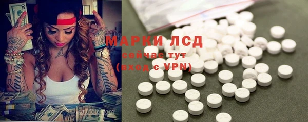 гидра Абаза